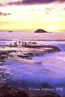 Muruwai,west coast NZ 11/4